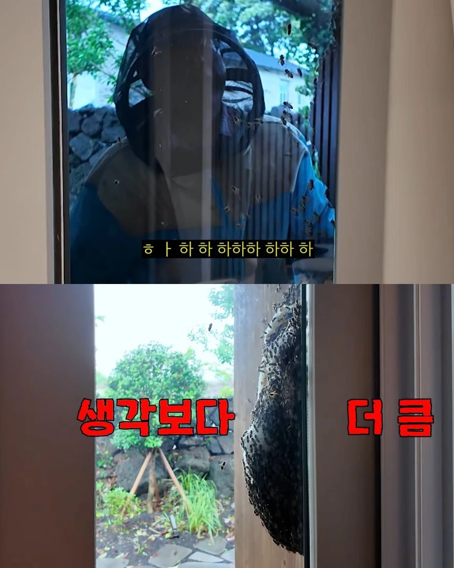 2주만에 제주도 집 갔다 119 부른 김숙.jpg