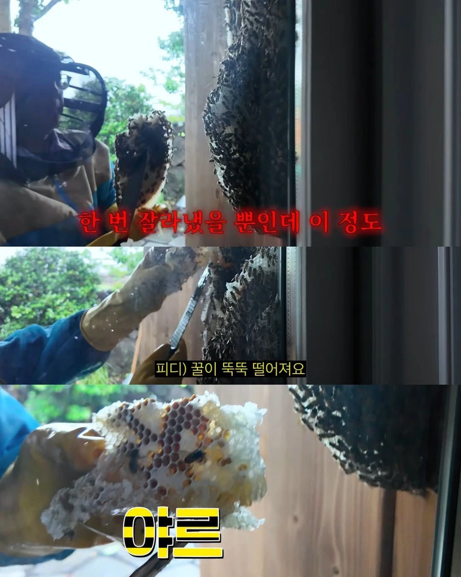 2주만에 제주도 집 갔다 119 부른 김숙.jpg