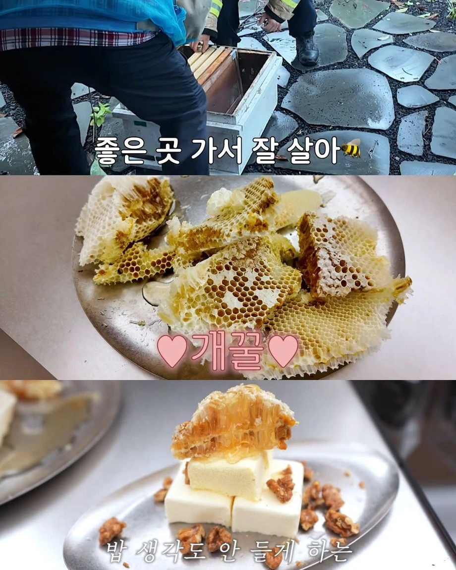 2주만에 제주도 집 갔다 119 부른 김숙.jpg