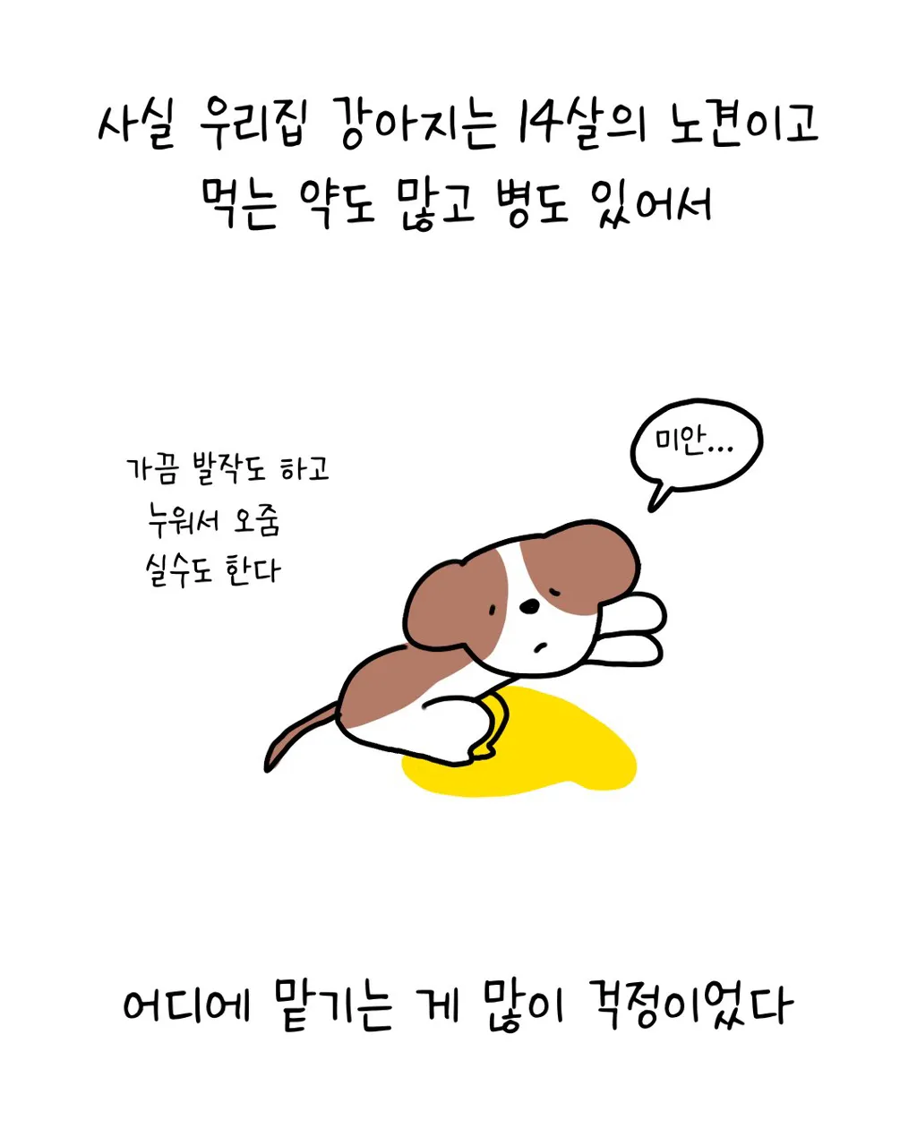 강아지를 이웃집에 맡겼는데