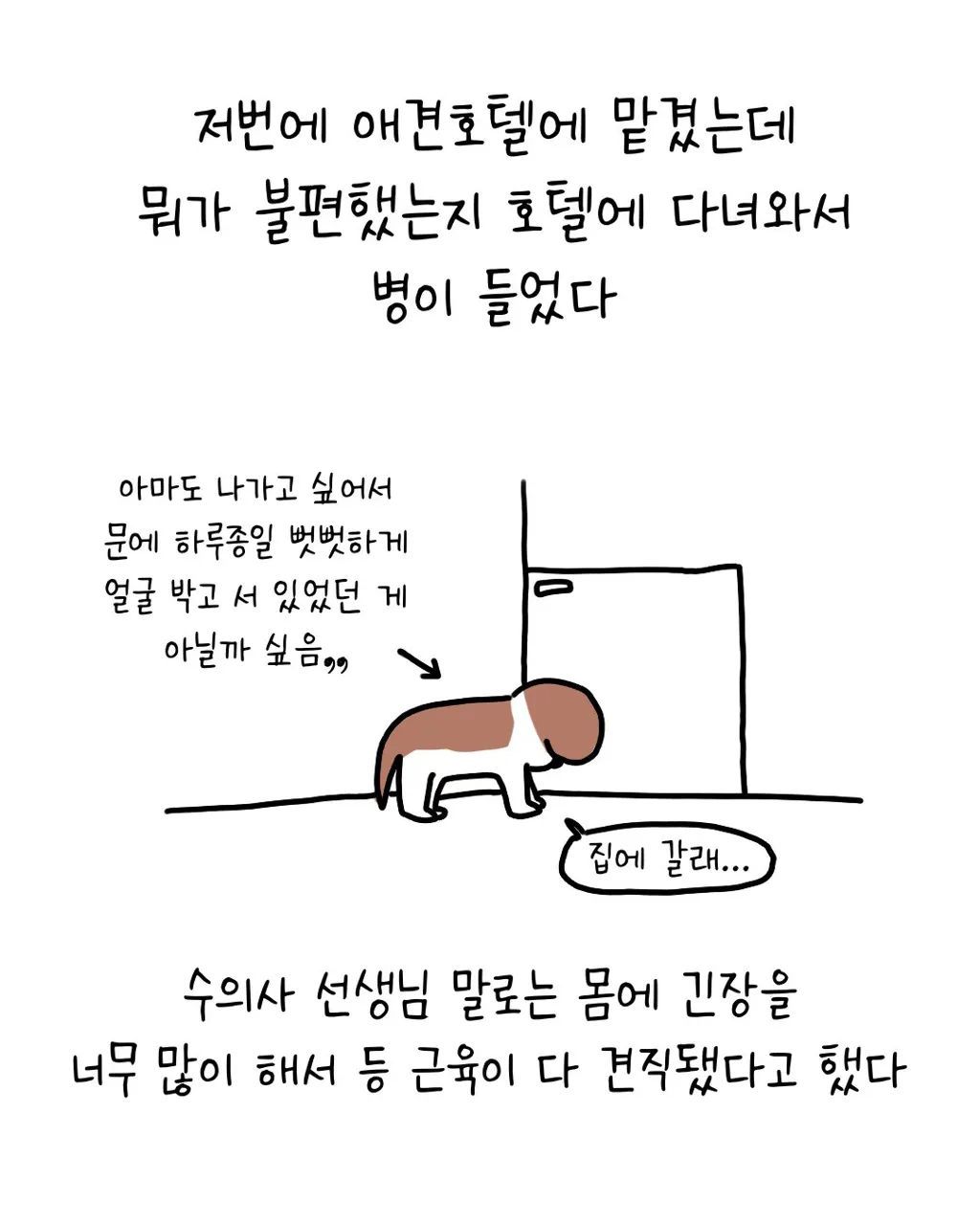 강아지를 이웃집에 맡겼는데