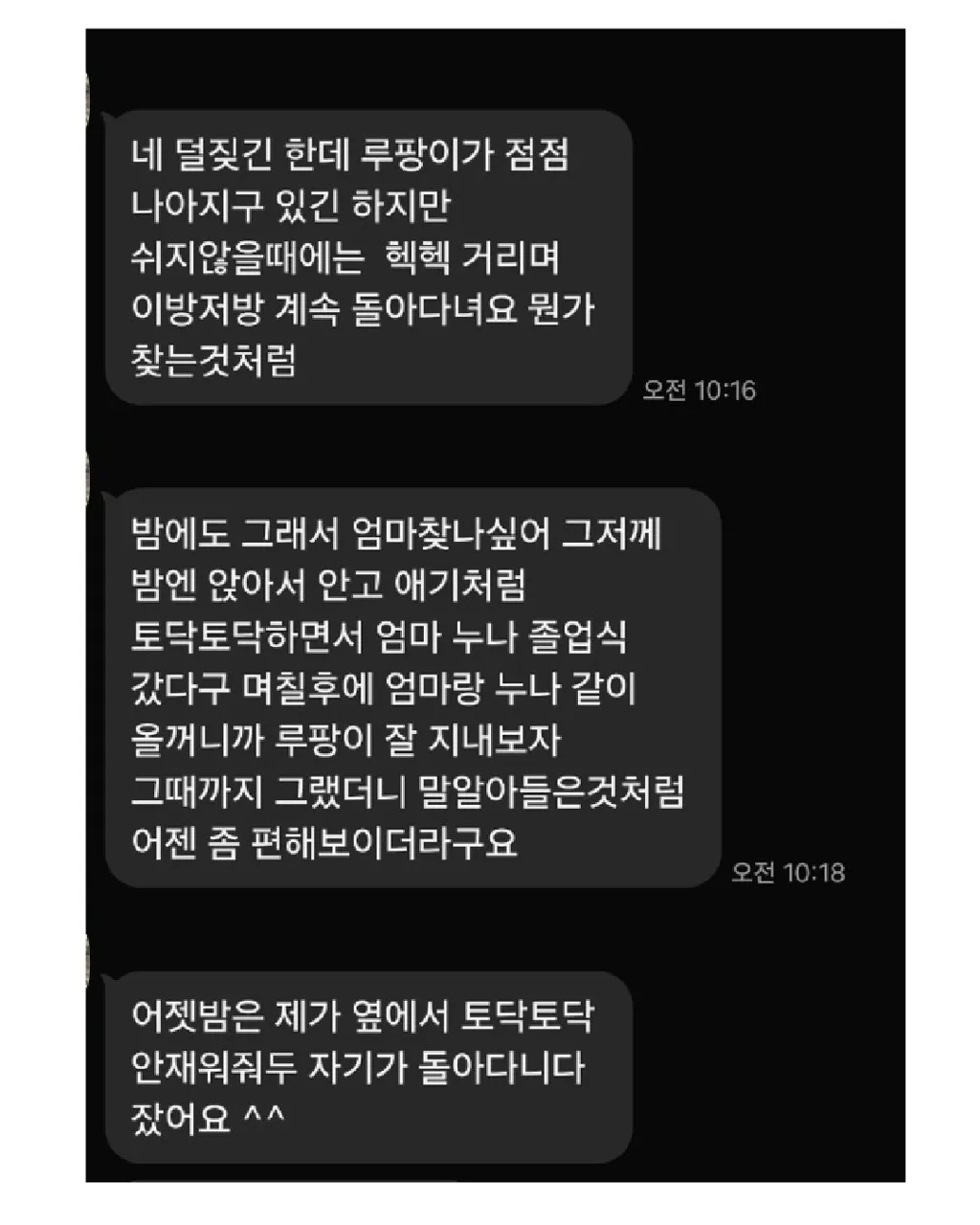 강아지를 이웃집에 맡겼는데