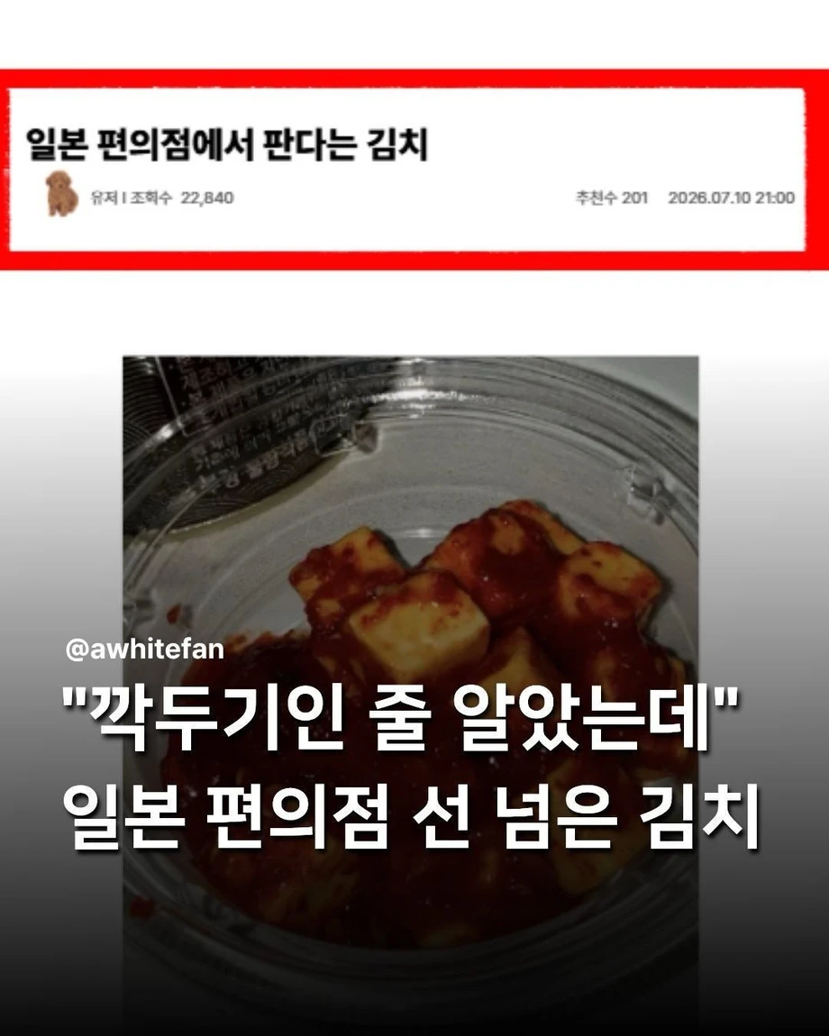 깍두기인 줄 알았던 일본의 선 넘은 김치