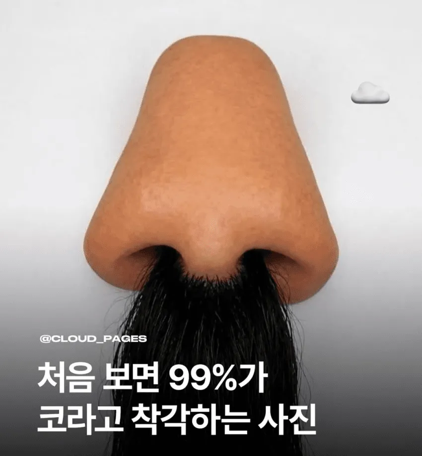 처음보면 99%가 코라고 착각하는 사진