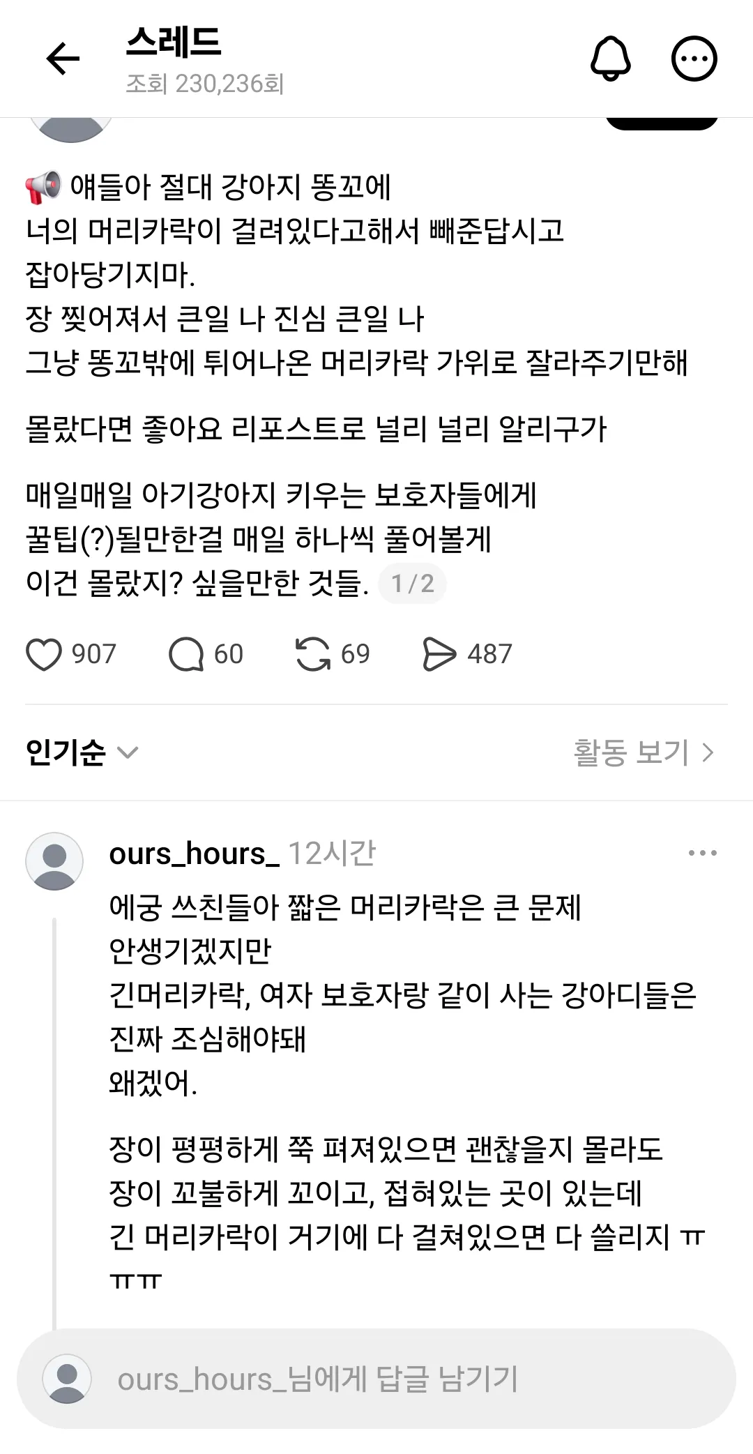 절대 강아지 항문에 머리카락 걸려있다고 잡아당기지마.jpg