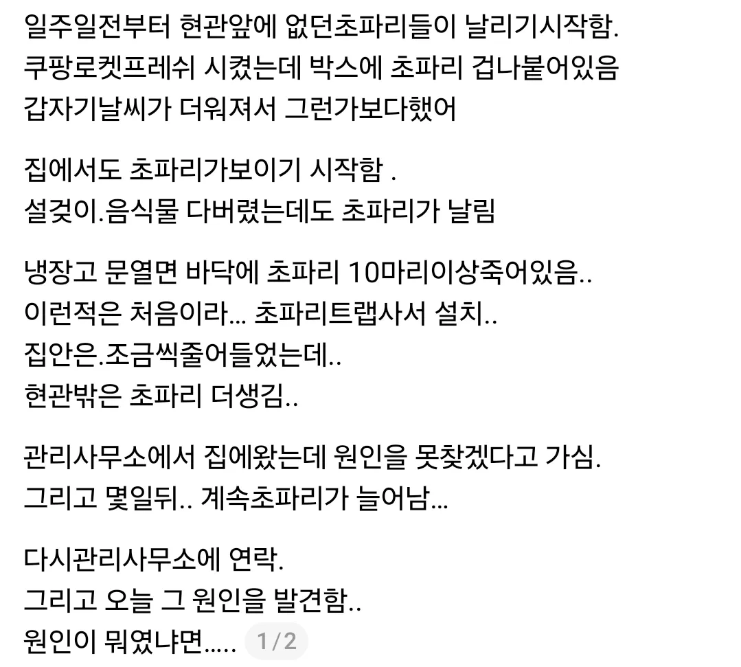벌레사진주의) 일주일전부터 현관앞에 없던초파리들이 날리기시작함.