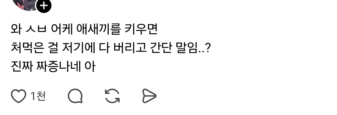 벌레사진주의) 일주일전부터 현관앞에 없던초파리들이 날리기시작함.