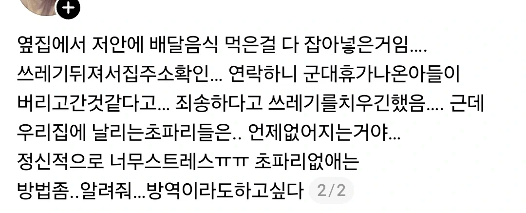 벌레사진주의) 일주일전부터 현관앞에 없던초파리들이 날리기시작함.
