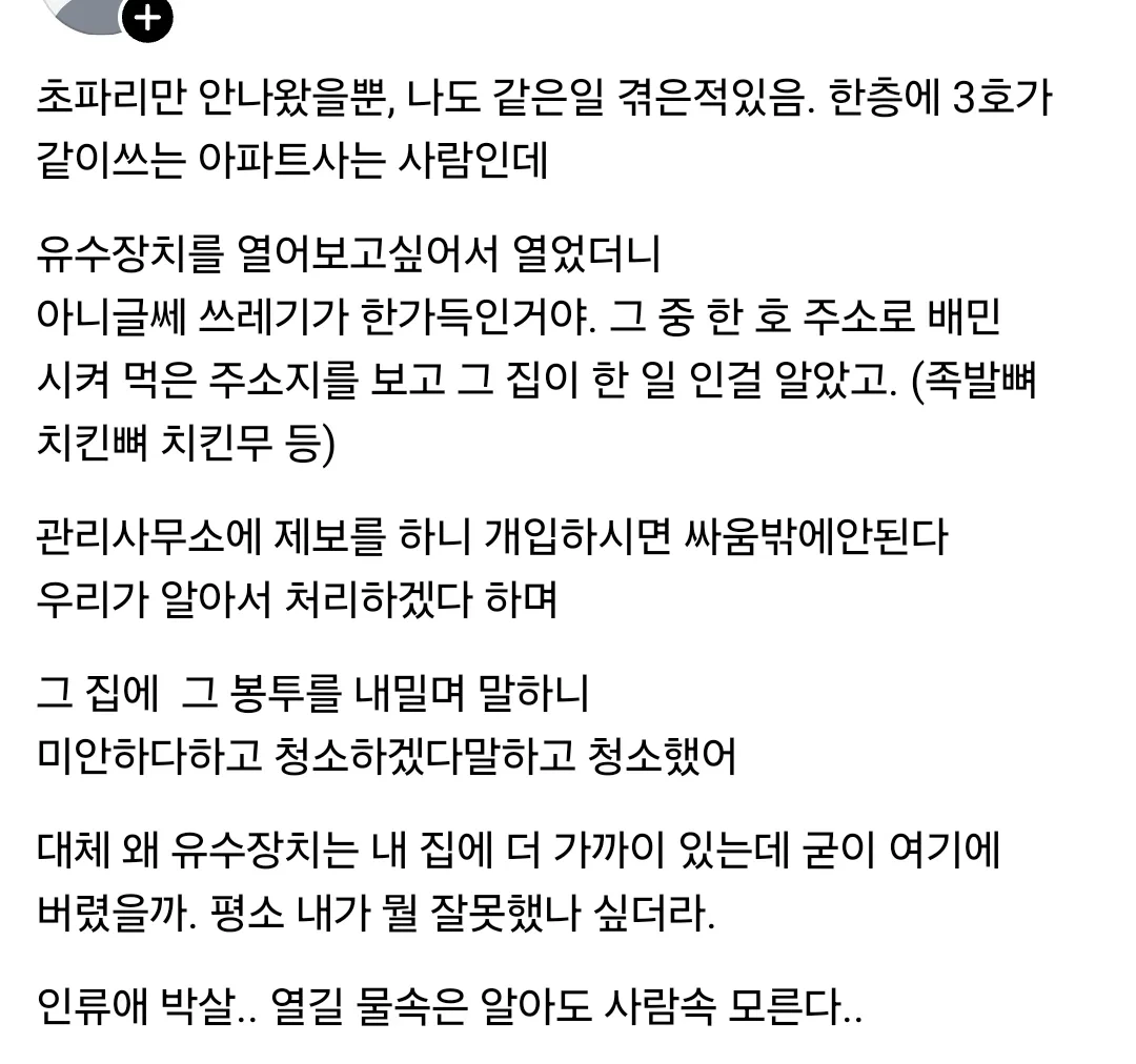 벌레사진주의) 일주일전부터 현관앞에 없던초파리들이 날리기시작함.