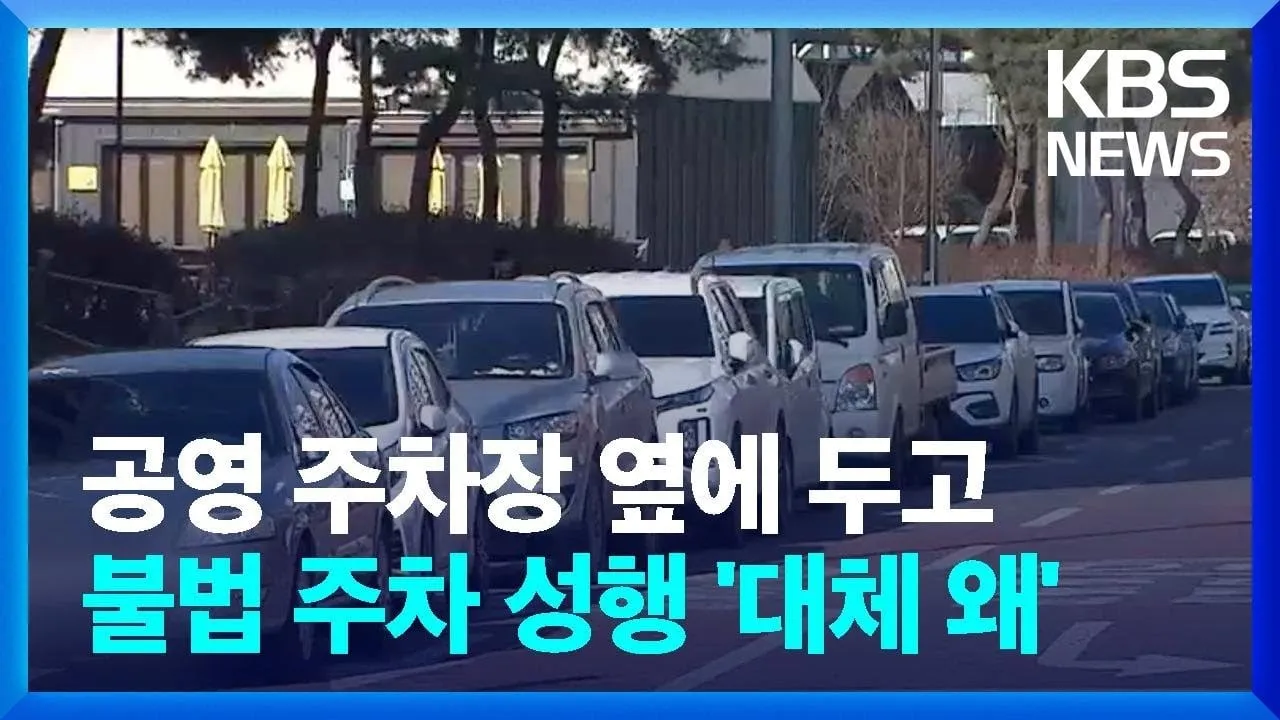  한국의 진짜 이상한 주차문화 .....  . jpg