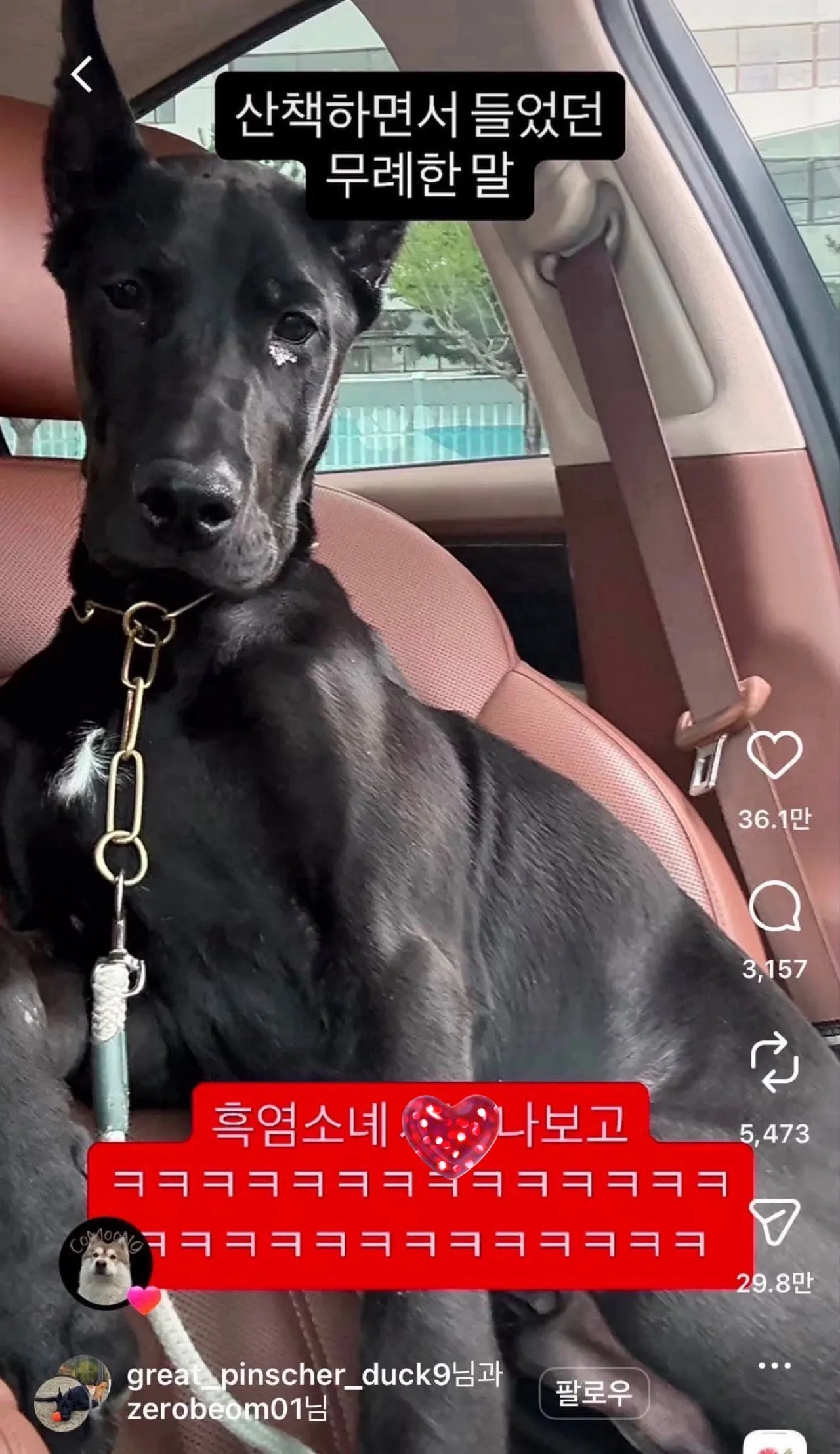 산책하면서 들은 가장 무례한 말.jpg