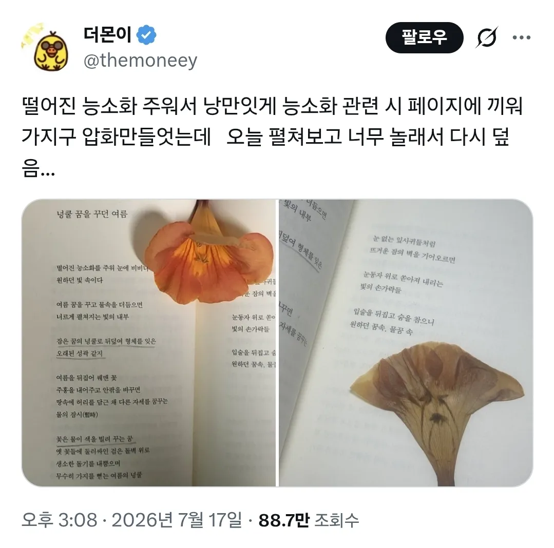 떨어진 능소화 주워서 압화 만들었는데