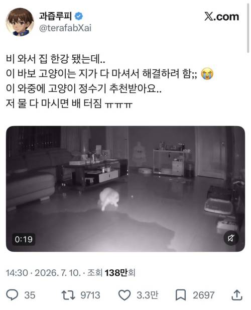 비 와서 집 한강 됐는데.. 