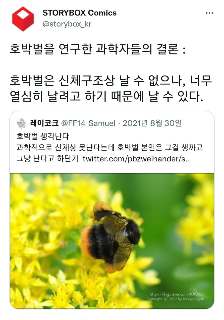 호박벌의 개쩌는 앞전와류.jpgif