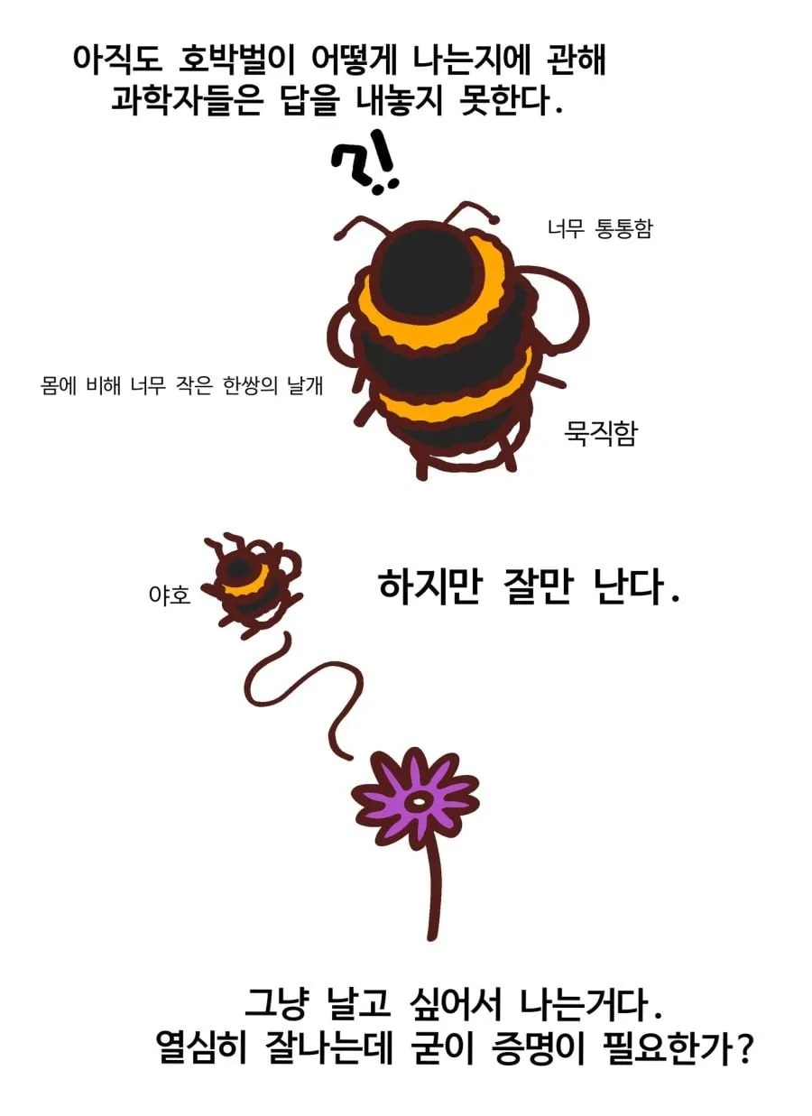 호박벌의 개쩌는 앞전와류.jpgif