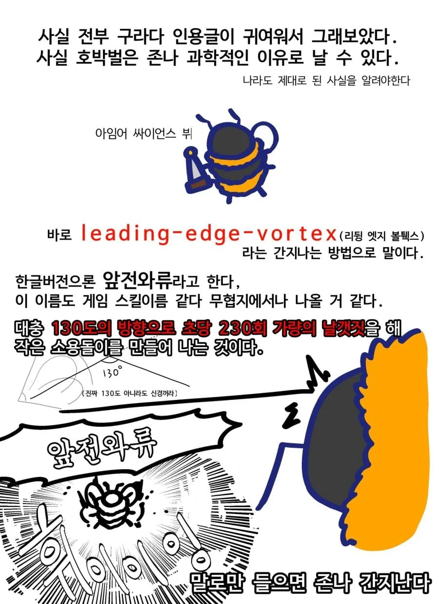 호박벌의 개쩌는 앞전와류.jpgif