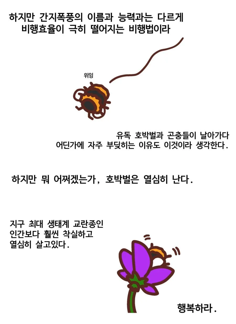 호박벌의 개쩌는 앞전와류.jpgif