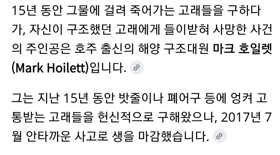 15년 동안 고래를 구한 남자의 결말