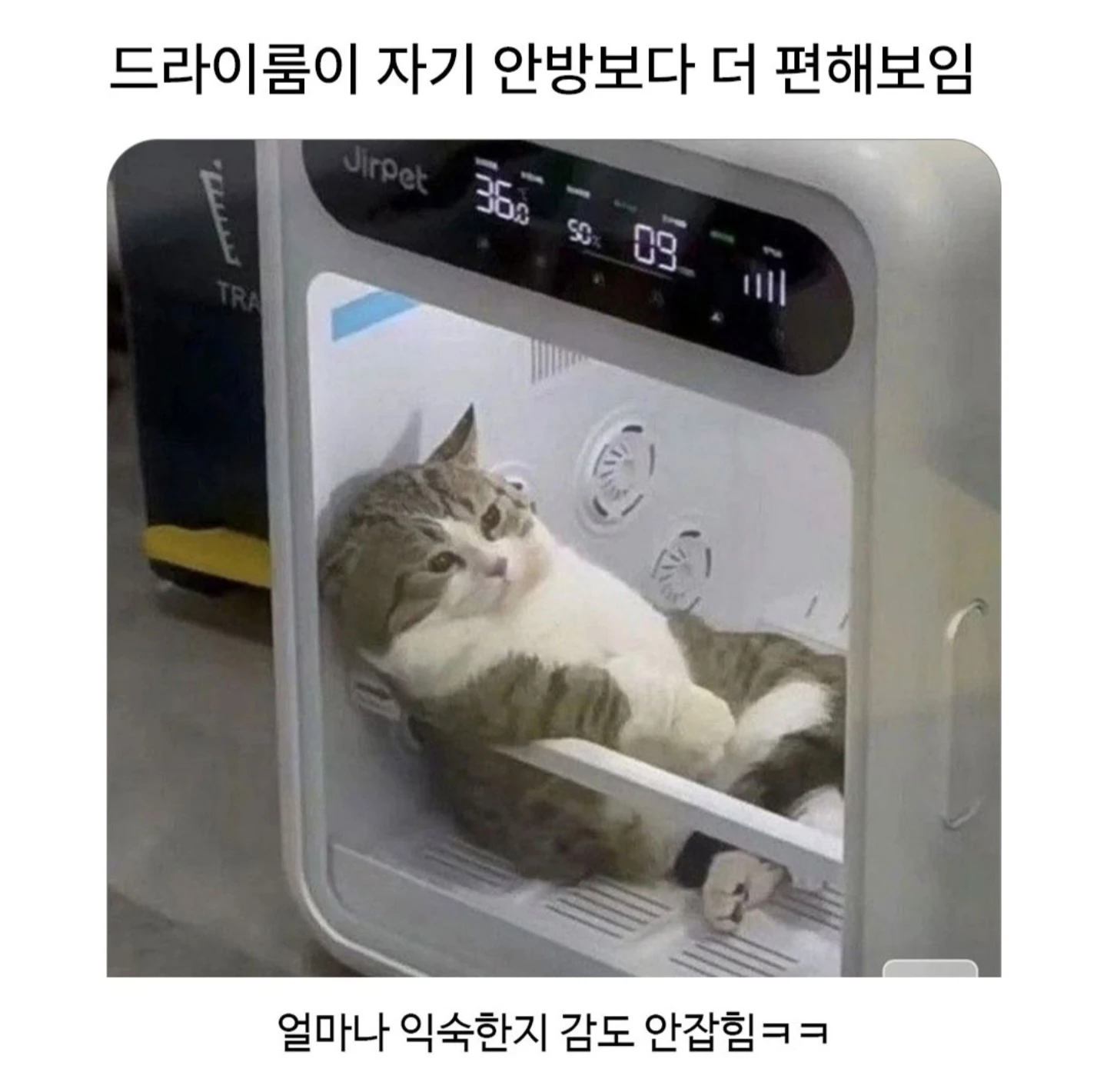 드라이룸이 자기안방보다 편해보임
