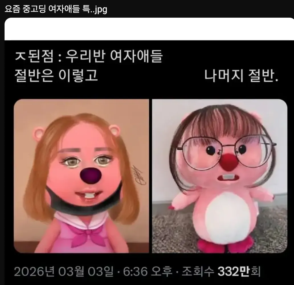 요즘 중고딩 여자애들 특..jpg