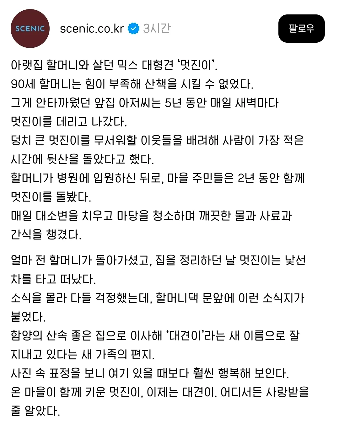 앞집 아저씨는 5년동안 매일 새벽마다 아랫집 할머니네 개 '멋진이'를 데리고 나갔다