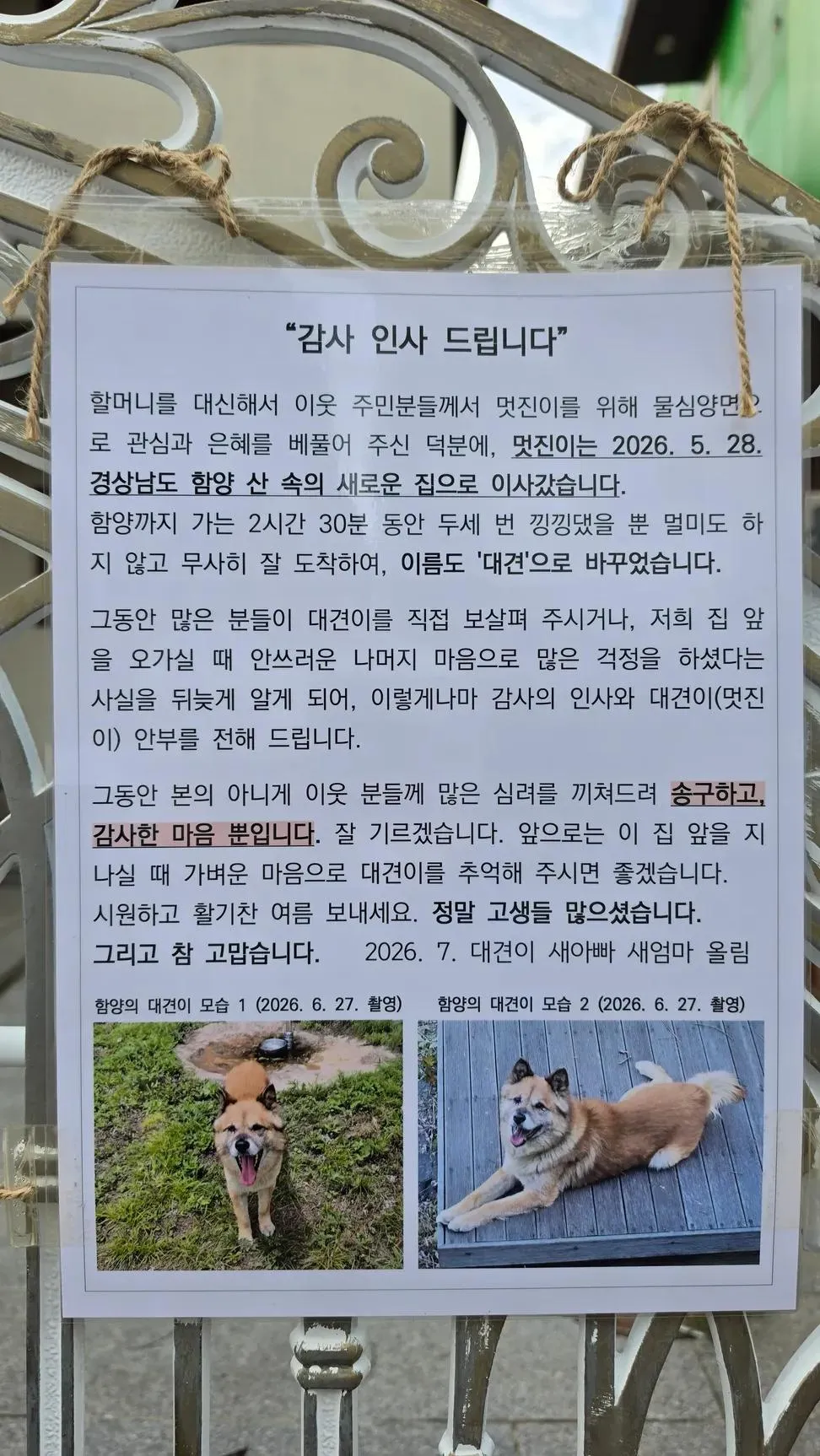 앞집 아저씨는 5년동안 매일 새벽마다 아랫집 할머니네 개 '멋진이'를 데리고 나갔다