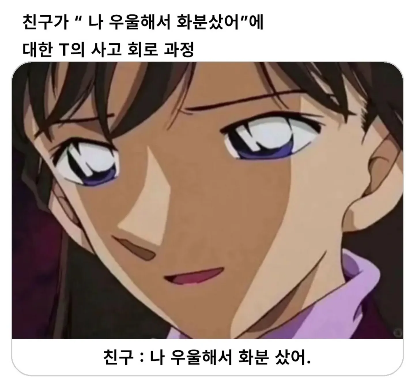 우울해서 화분샀어에 대한 T의 사고회로과정