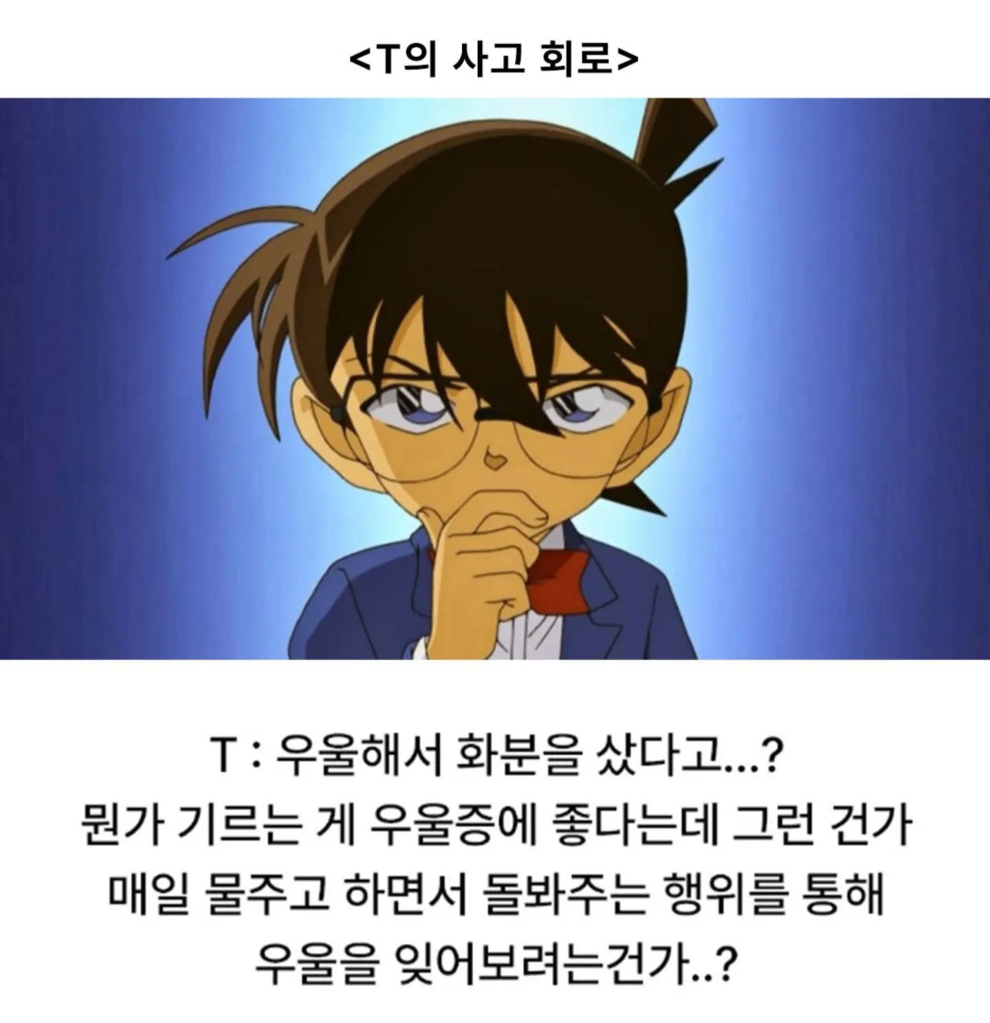 우울해서 화분샀어에 대한 T의 사고회로과정