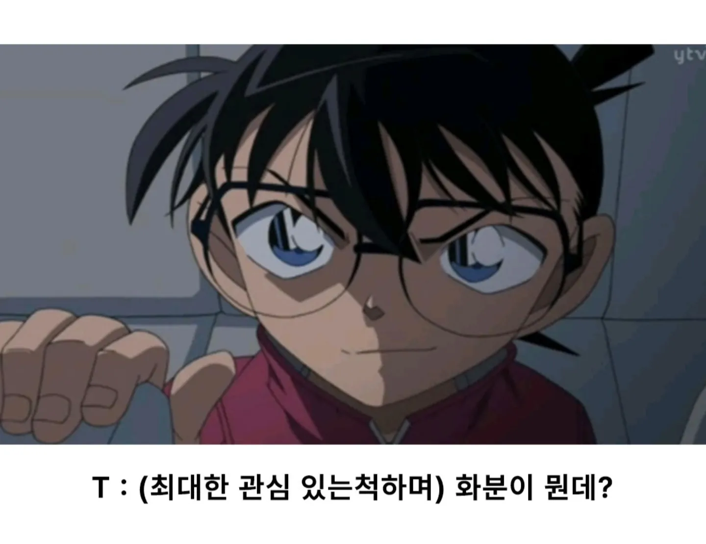 우울해서 화분샀어에 대한 T의 사고회로과정