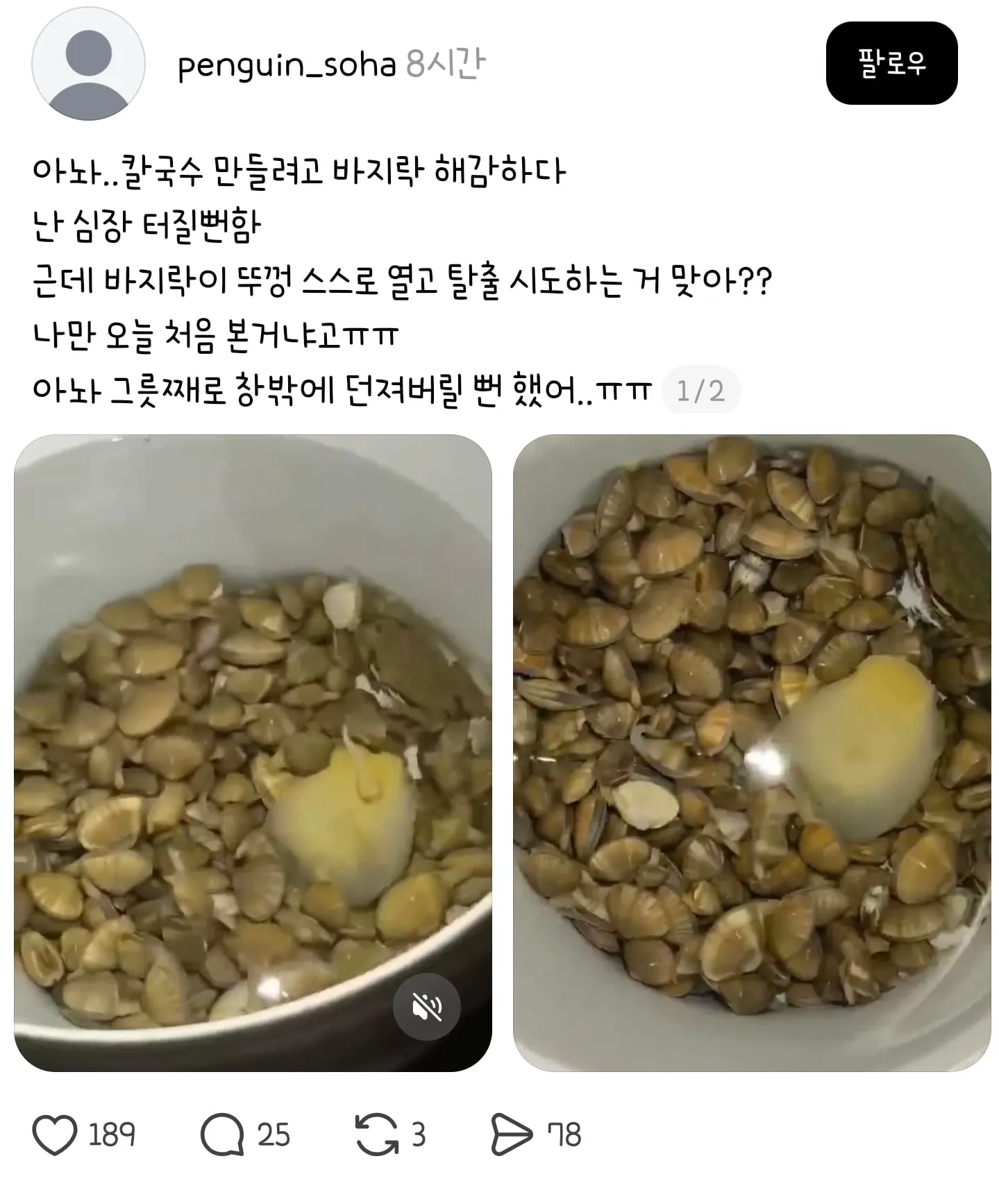 칼국수 만들려고 바지락 해감하다 심장 터질뻔함