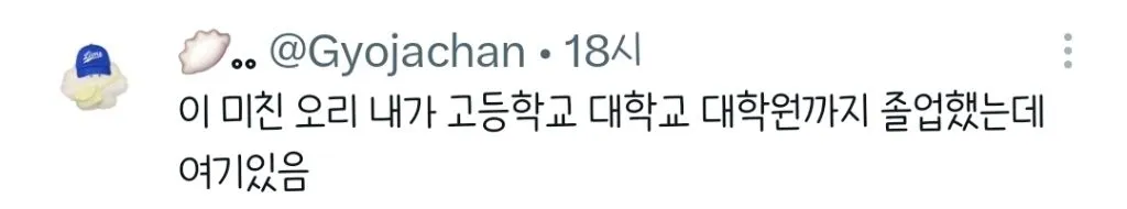 대구 길거리에 오리있어.twt