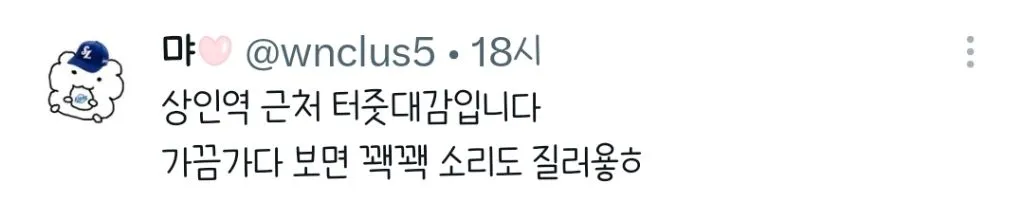 대구 길거리에 오리있어.twt