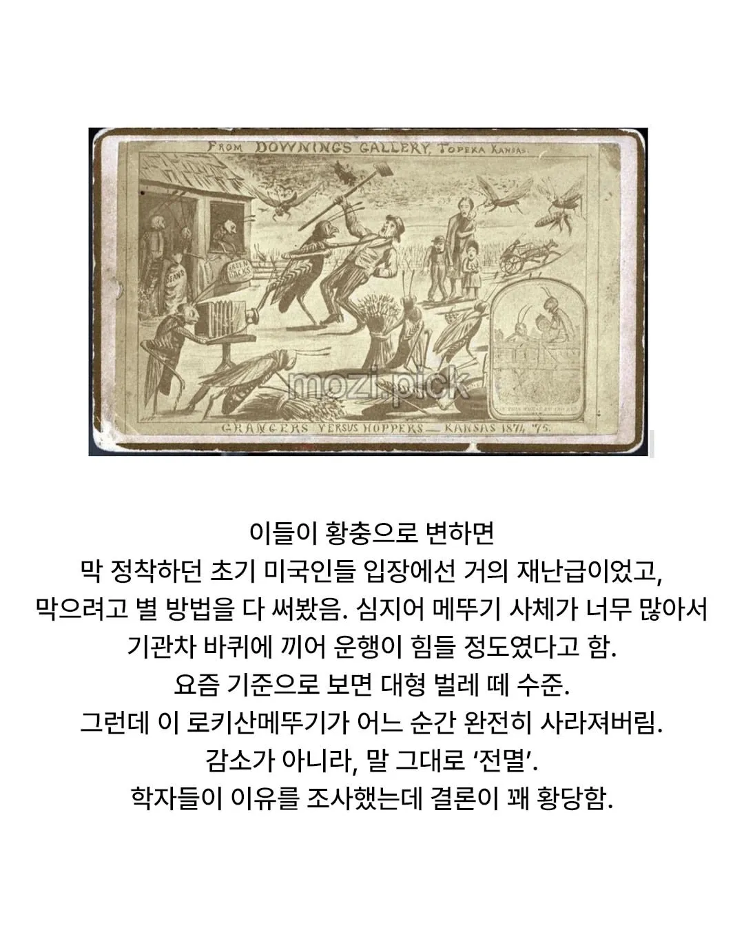 어이없게 멸종한 곤충류 원탑.JPG