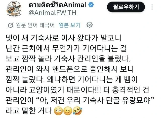 밤에 혼자 봤으면 기절할 뻔한 광경
