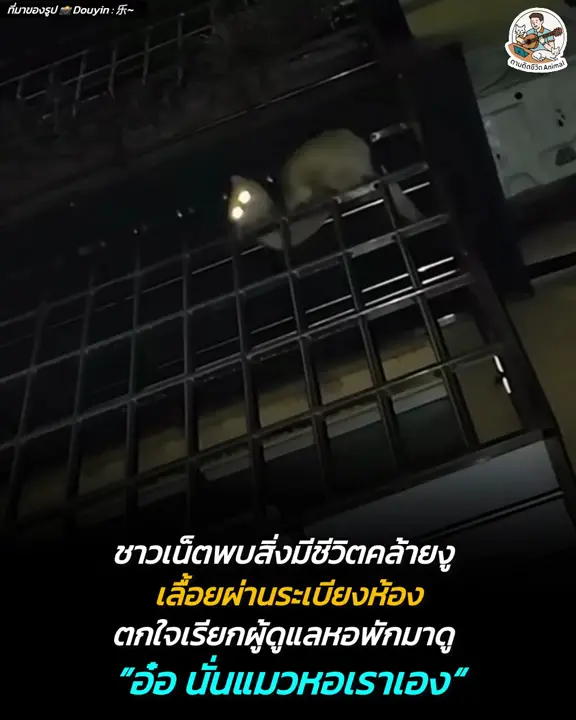 밤에 혼자 봤으면 기절할 뻔한 광경