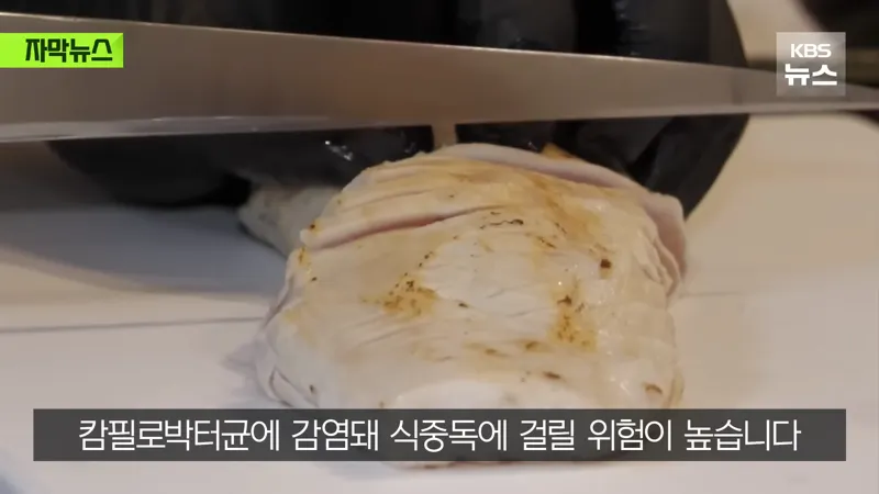닭고기 회 잘 못 먹고 평생 불구가 된 일본 남성