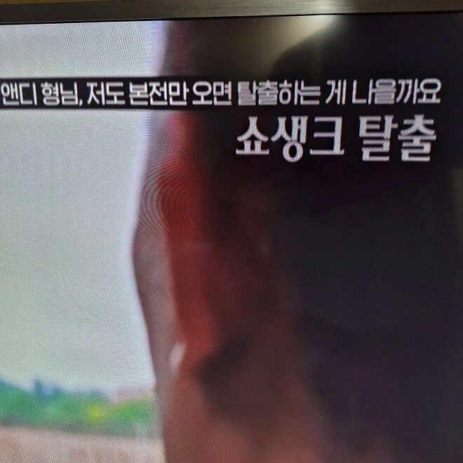 OCN 실시간 자막