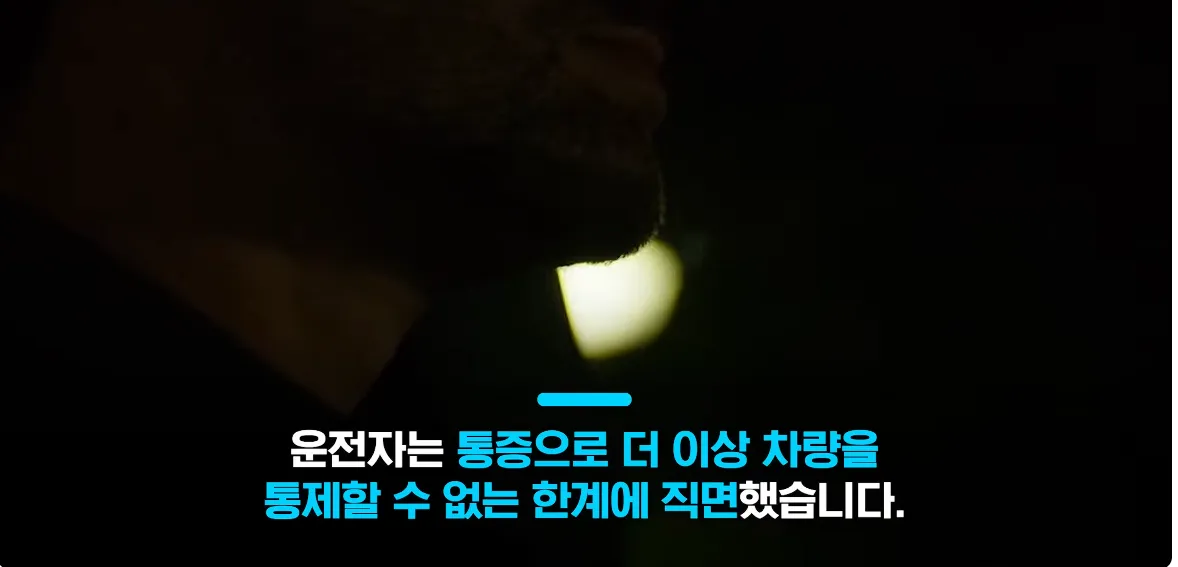의식 잃은 운전자 살린 테슬라 ㄷㄷㄷㄷㄷㄷ