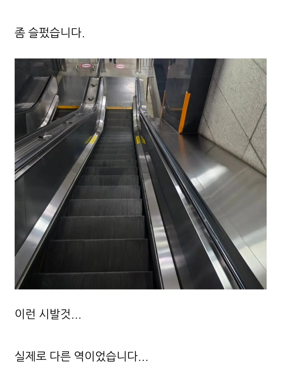 더위 먹은 블로거.jpg