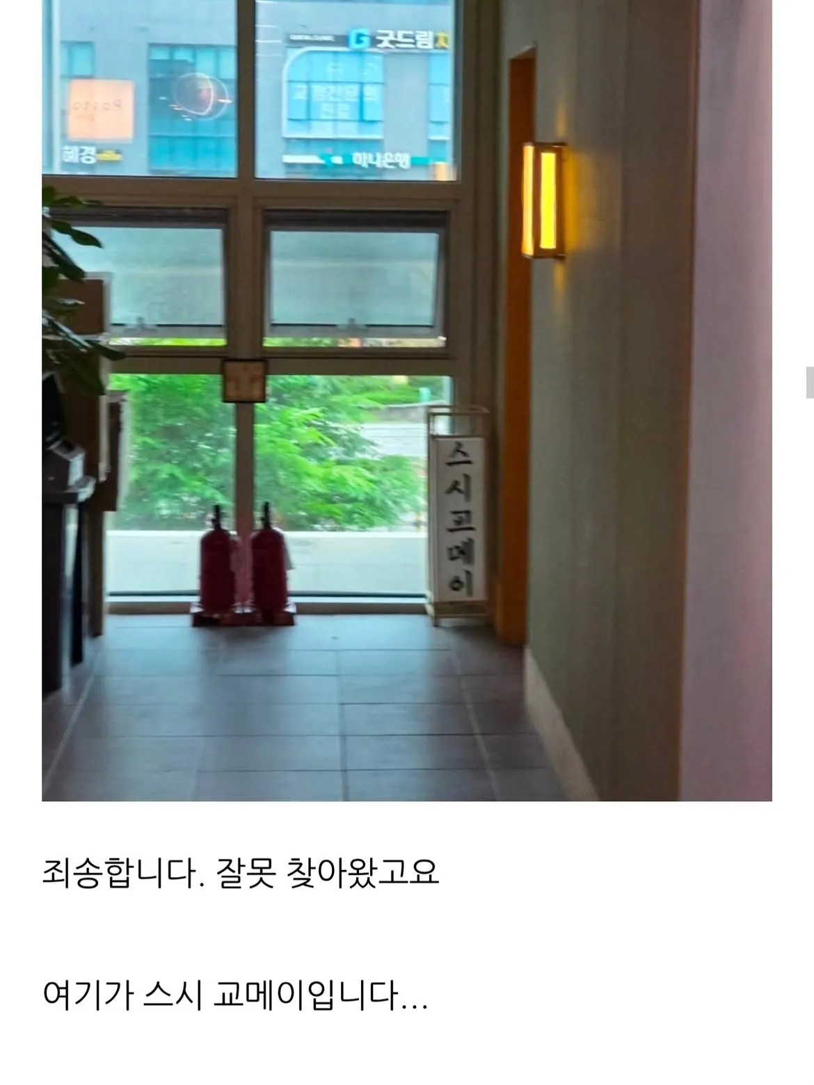 더위 먹은 블로거.jpg