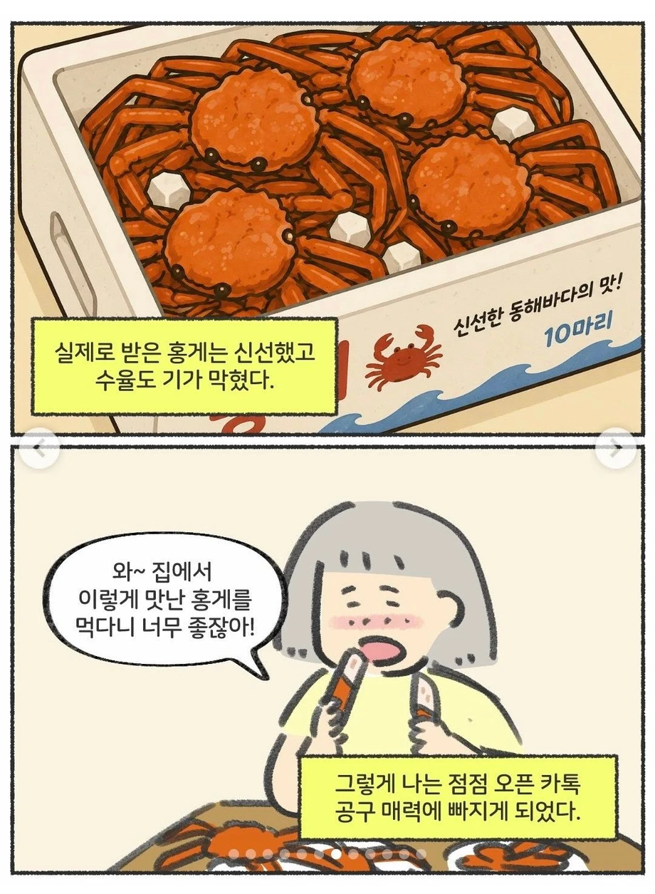 오픈 카톡 공동구매의 세계