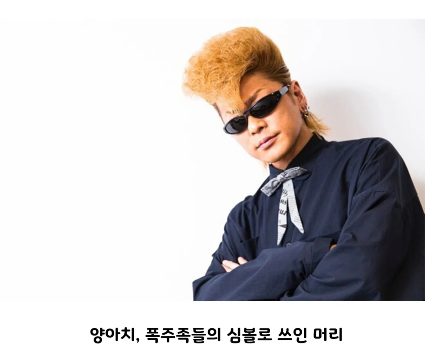 일본의 양아치 카레