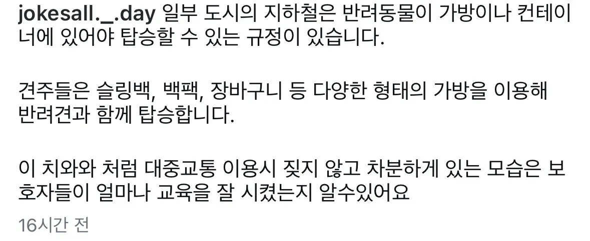 한두 번 타본 게 아닌 치와왕.jpg