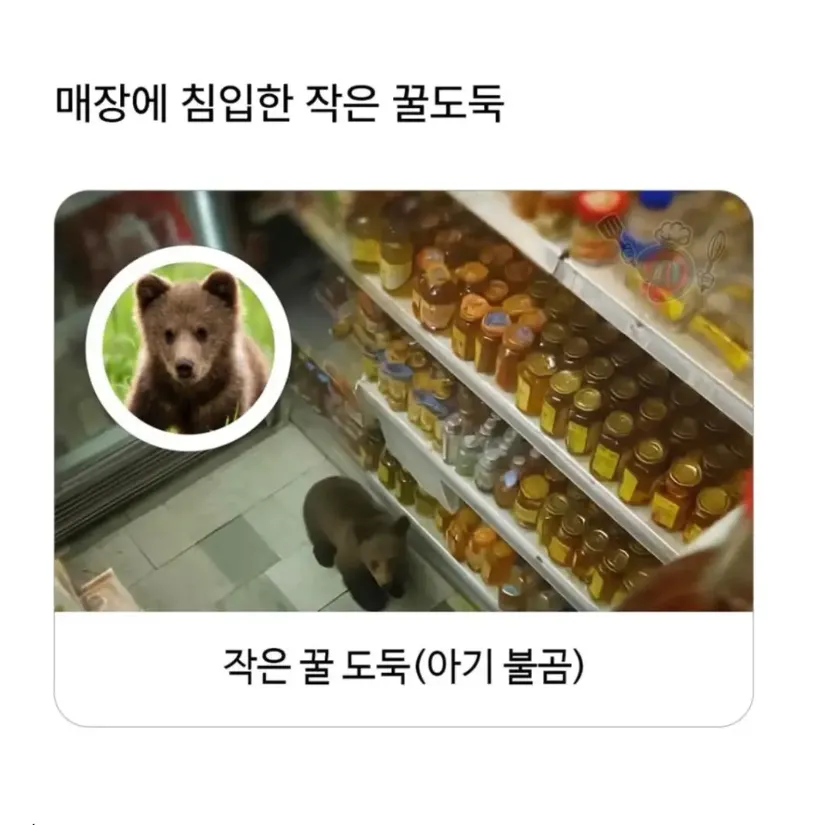 혈당 스파이크 온 불곰