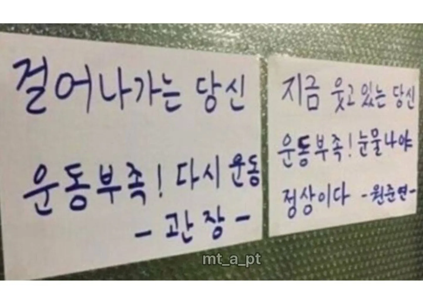 어느 헬스장의 명언