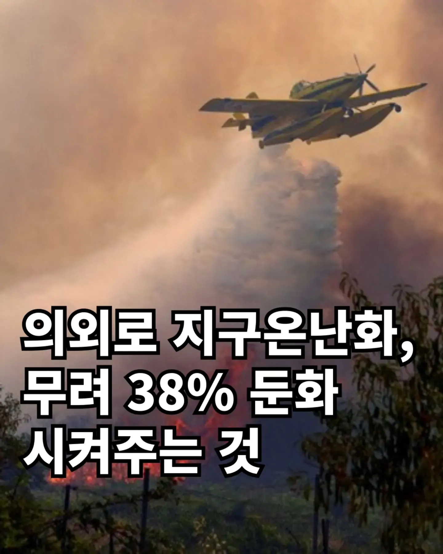 자연) 산불이 지구온난화를 늦춘다.jpg