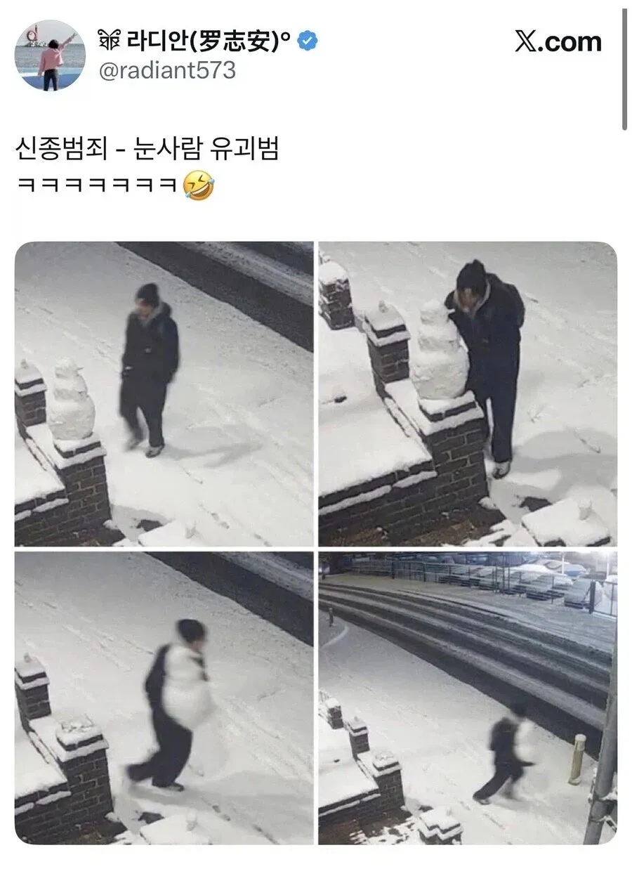눈사람 만들면 생기는 일.jpg
