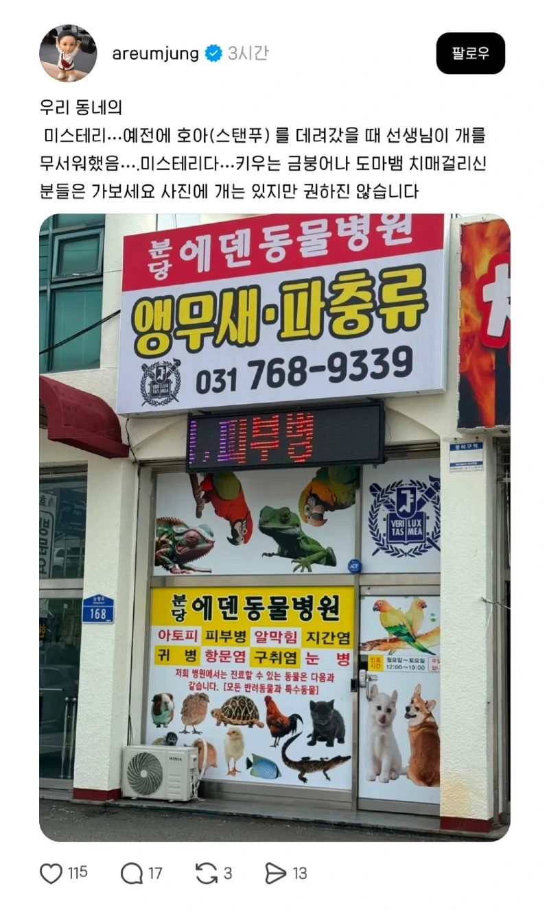 우리동네 동물병원 미스테리... 원장님이 개를