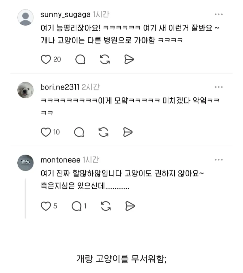 우리동네 동물병원 미스테리... 원장님이 개를