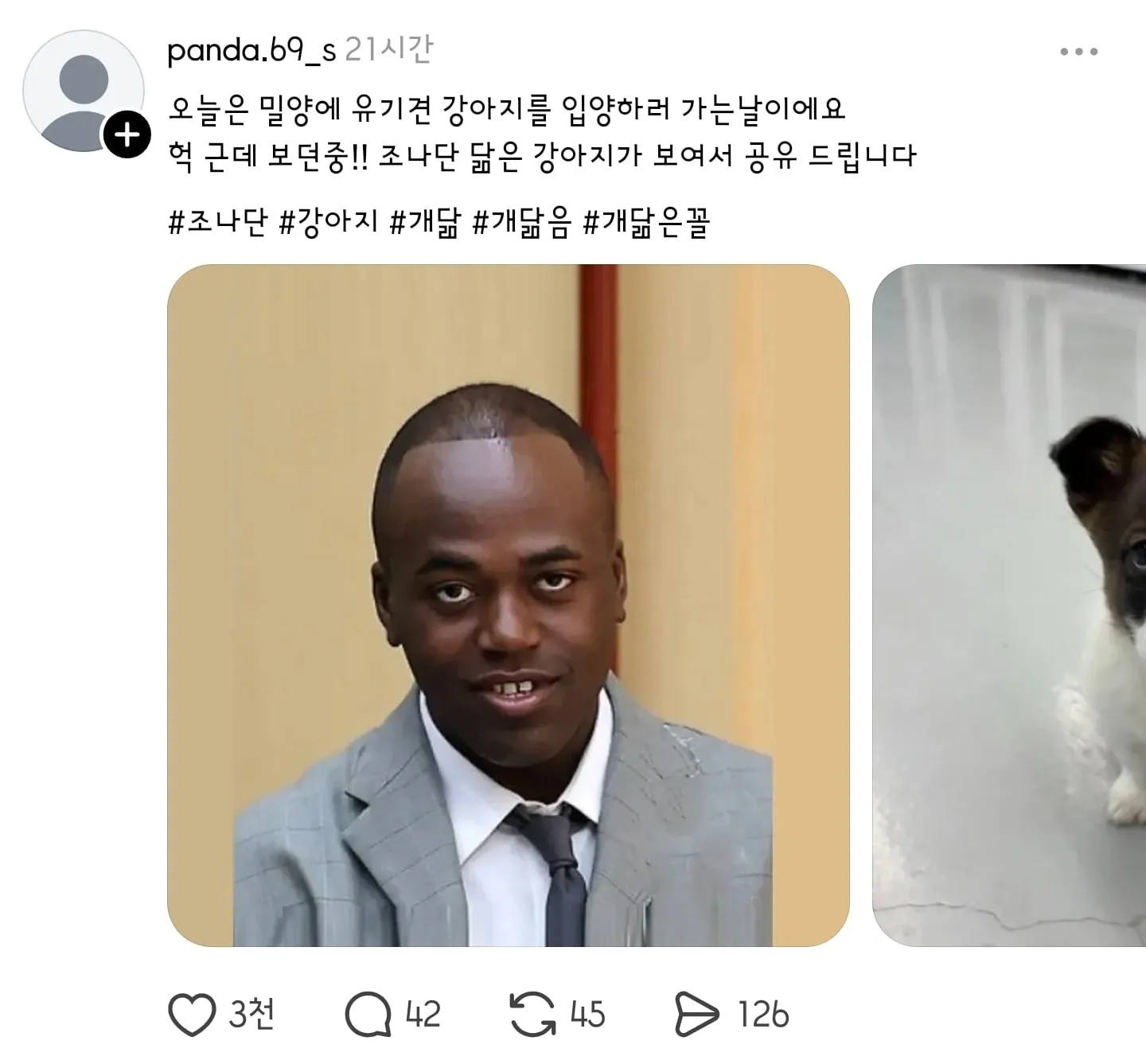 유기견 입양하러 갔더니 조나단이 있었다